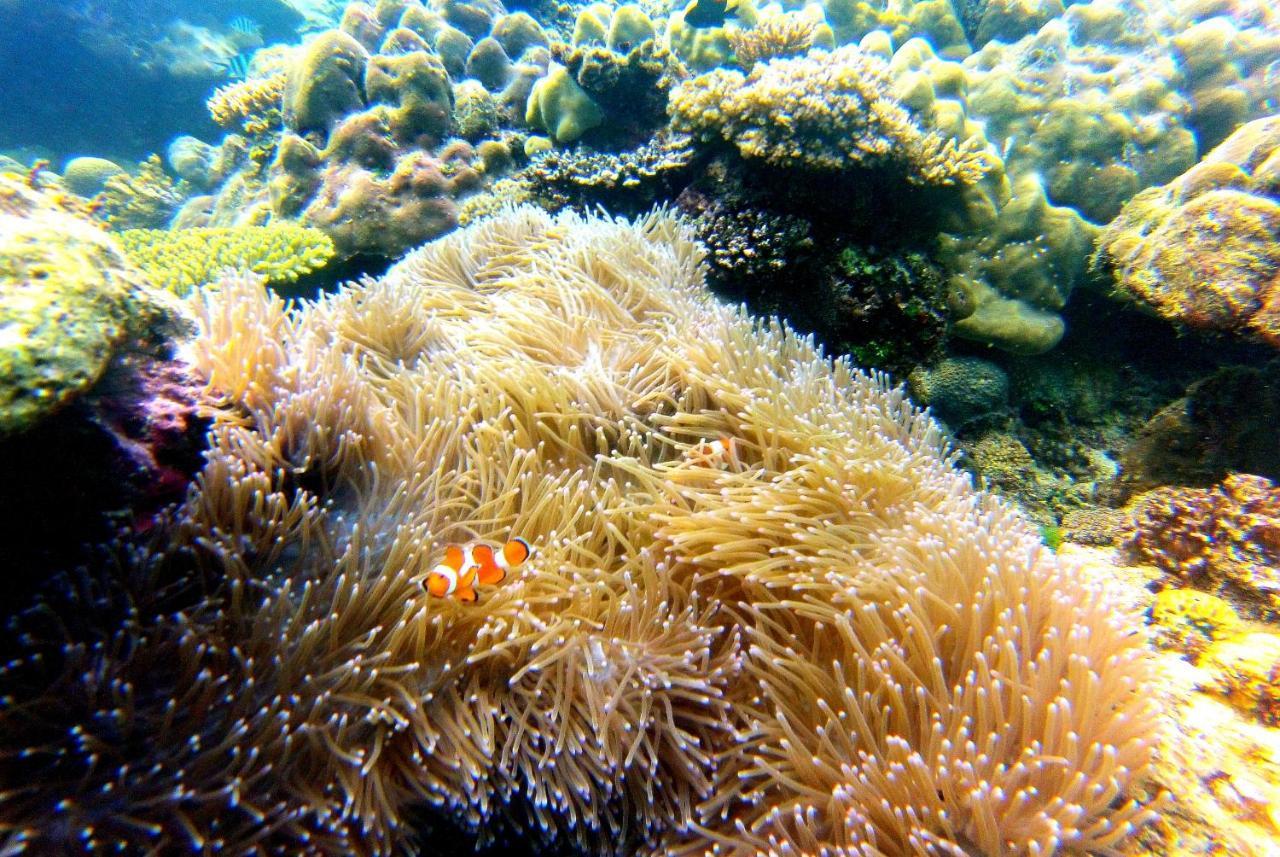 Arkadia Beach Resort Underground River Sabang  Kültér fotó